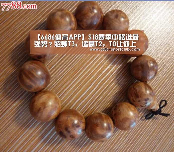 6686娱乐平台