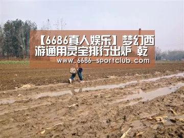 【6686真人娱乐】梦幻西游通用灵宝排行出炉 乾坤五行卷居首(图1) 6686娱乐平台